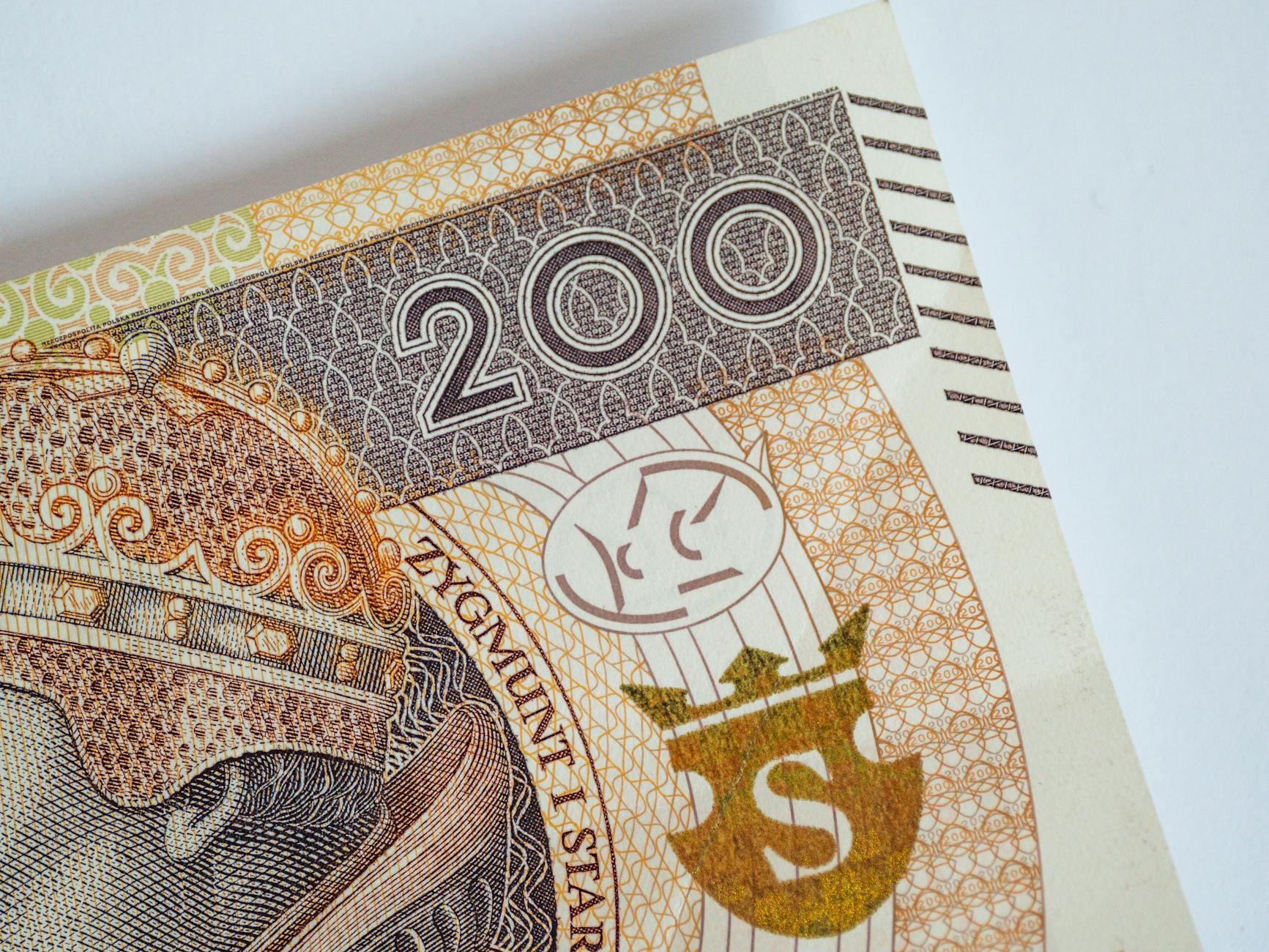 Ilustracja przedstawiająca połączenie wolontariuszy ze schroniska ze zwycięską drużyną koszykarzy w Słupsku
